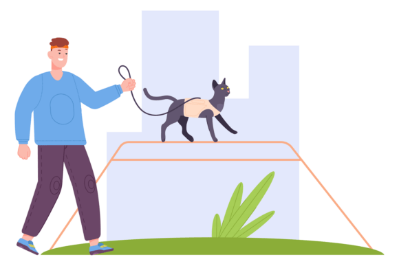 Man Train Cat on City Pet Park Playgroun